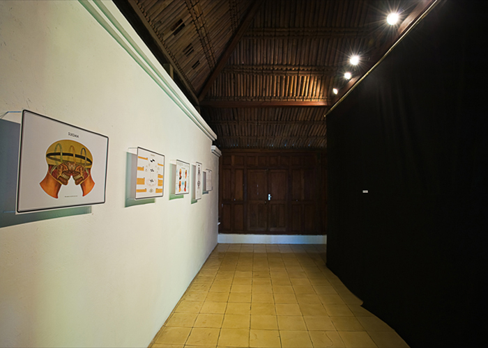 pic11